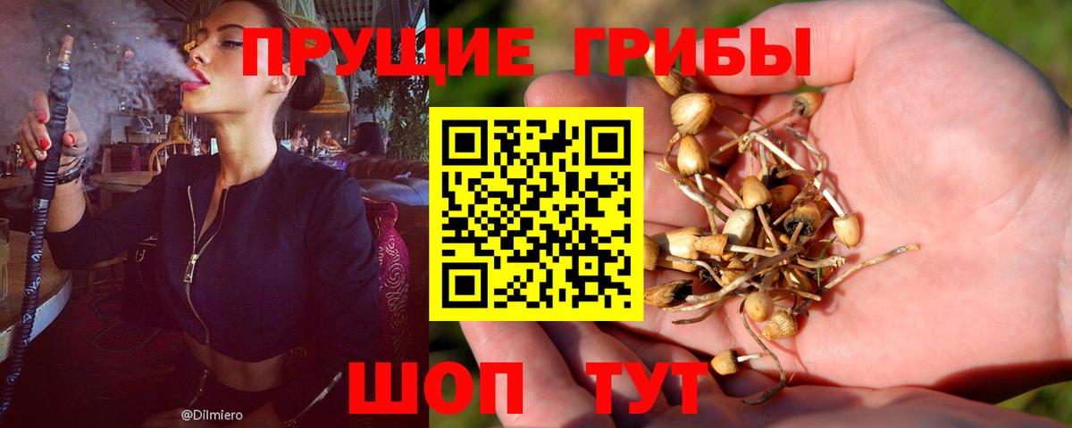 Галлюциногенные грибы Cubensis Троицк