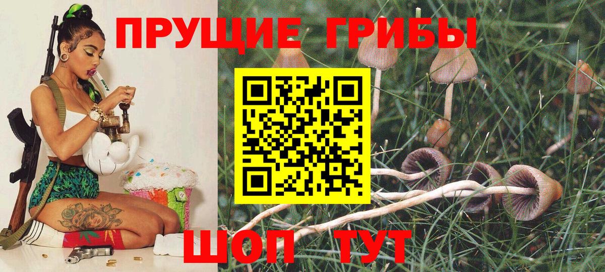 Псилоцибиновые грибы Magic Shrooms  Вход с VPN  Троицк 